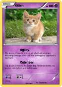 Kitten
