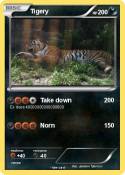 Tigery