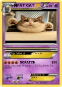 FAT CAT