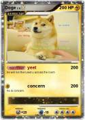 Doge