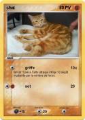 chat