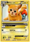 Pika cat