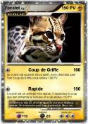 l'ocelot