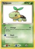 Tortipouss