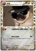 pug
