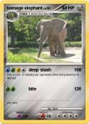 teenage elephan