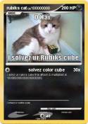 rubiks cat