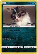 Chaticorne