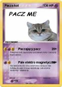 Pacza kot