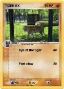 TIGER EX