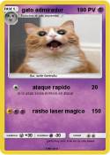 gato admirador