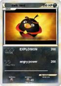 dark bird