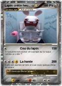 Lapin crétin