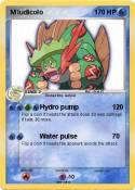 M ludicolo
