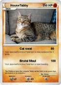 HouseTabby
