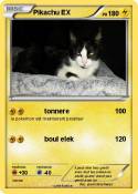 Pikachu EX