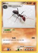 ant