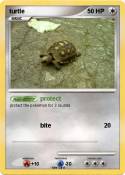 turtle