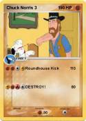 Chuck Norris 3