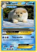 Pupper