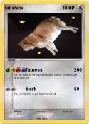 fat shibe