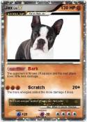 Jax
