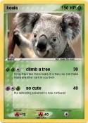 koala