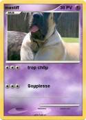 mastiff
