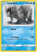 Snow Bear
