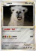 Llama