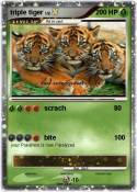 triple tiger