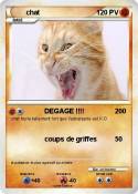 chat