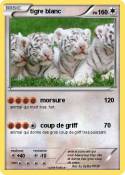 tigre blanc