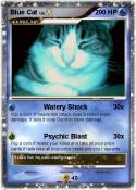 Blue Cat