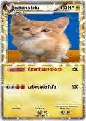 gatinho fofu