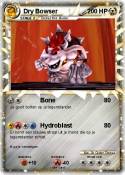 Dry Bowser