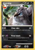 Silverwing