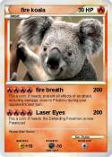 fire koala