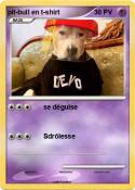 pit-bull en t-s