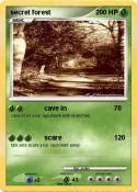 secret forest