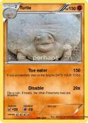 Turtle