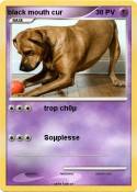 black mouth cur