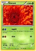 flowzard