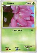 Flowers