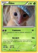 Kitten