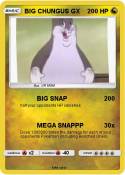 BIG CHUNGUS