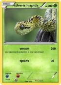 atheris hispida