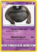 monkey