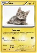 Kitten