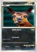 Parinoid llama
